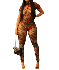 Image 1 of See Through Stretch Jumpsuit