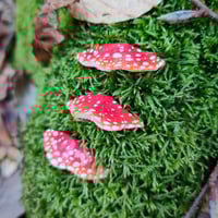Image 4 of Mały magnes na lodówkę - Hubki 
