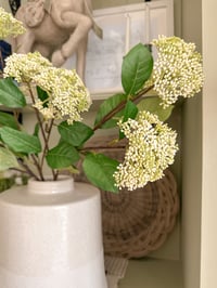 Image 2 of Luxury Elderflower Bouquet ( 3 Sprays Included )