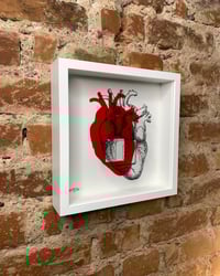 Image 3 of IN VITRO - PLUG & PLAY