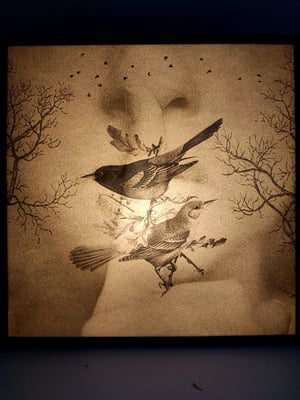 Image of Silencio, naturaleza. Dual