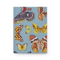 Image 7 of Moths & Butterflies Notebook