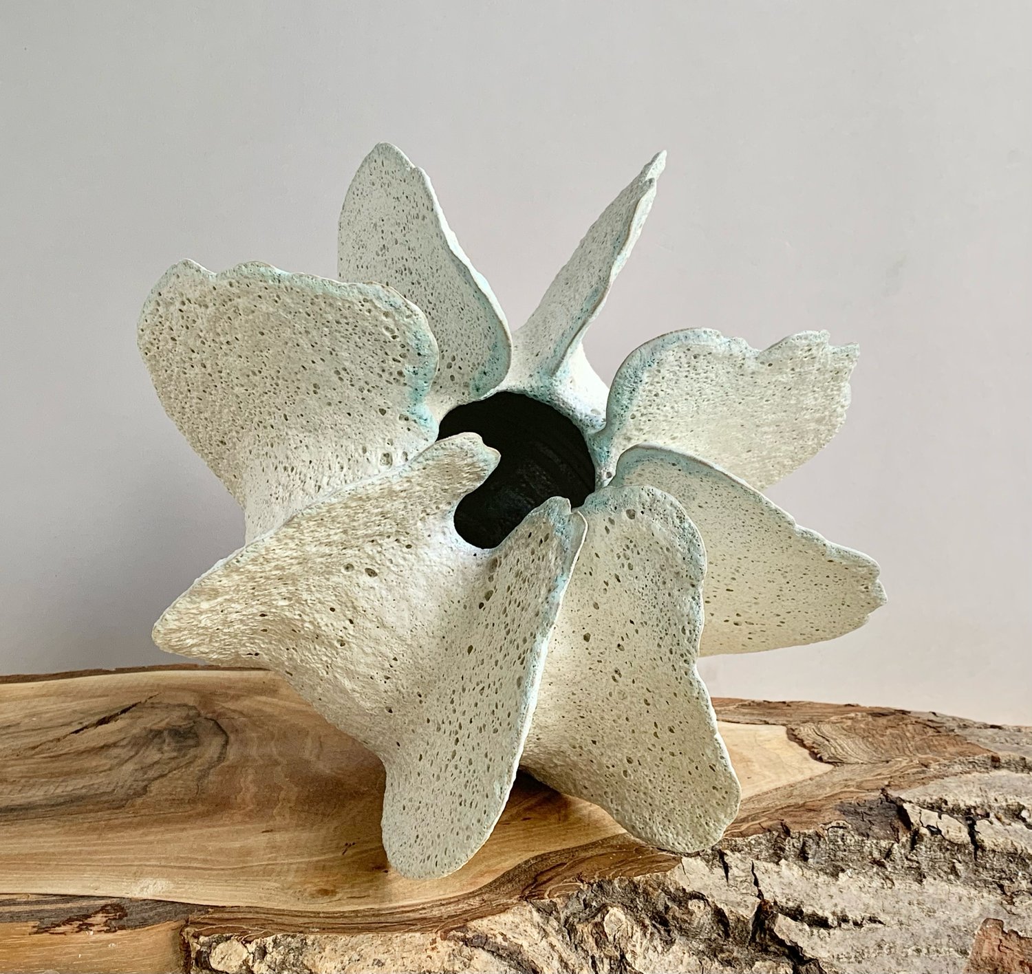 Image of Seaflower 2