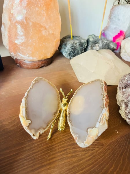 Image of Natural agate butterfly 