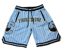 Image 3 of Authentic Blue Livingstone pinstripe shorts 