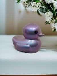 Image 4 of Set of 3 Resin Art OlllllO Ducks Ceramic Coated with Ducking Cards 'The Kelpie'