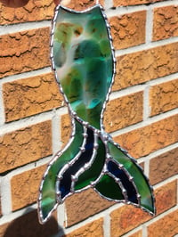 Image of Scaled Mermaid Tail