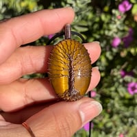Image 1 of Tigers Eye Tree 🌳💛