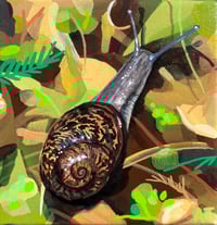 Snail