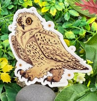 Image 1 of Snowy Owl Sticker
