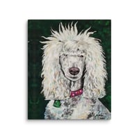 Image 4 of Standard Poodle with Whispies
