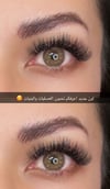 Brown hazel 