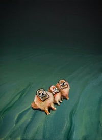 We came out here to lose our minds in peace