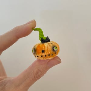 Image of Tiny Pumpkin Nugget #5