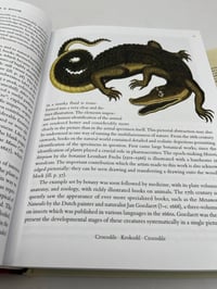 Image 5 of Seba. Cabinet of Natural Curiosities. 45th Ed.