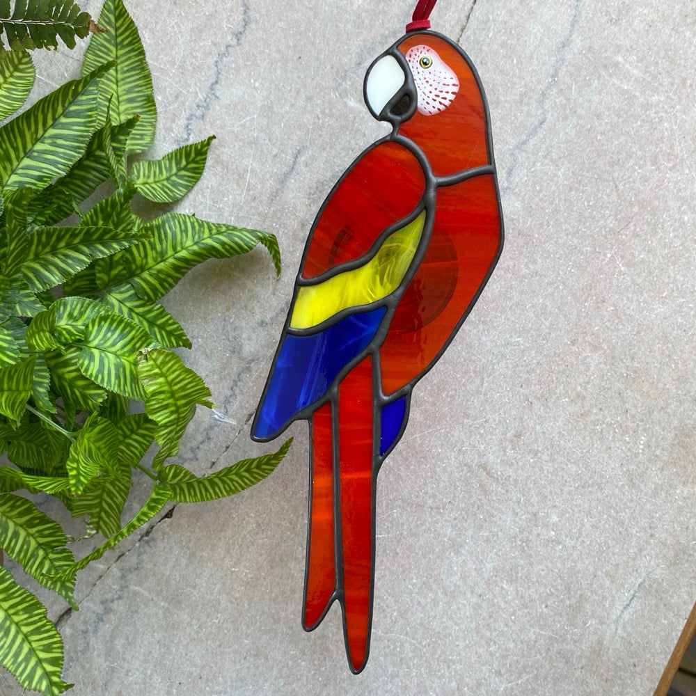 Image of Scarlet Macaw