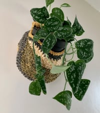 Image 1 of Hanging Crochet Plant Holder, Handmade  