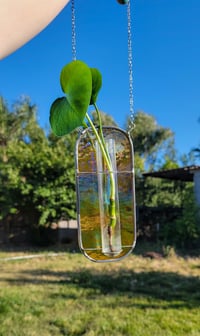 Image 1 of Iridescent Amber Propagation Holder