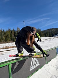 Image 4 of lizard gloves