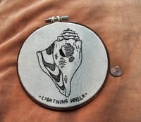Lightning Whelk 5in.