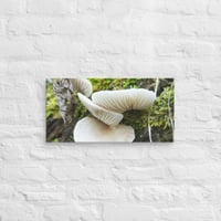 Image 4 of Mushroom Tree Canvas Print 