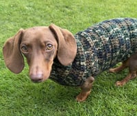 Image 4 of Commando Snazz