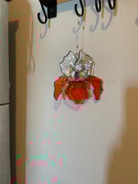 Image 4 of Orange and Clear Iris 