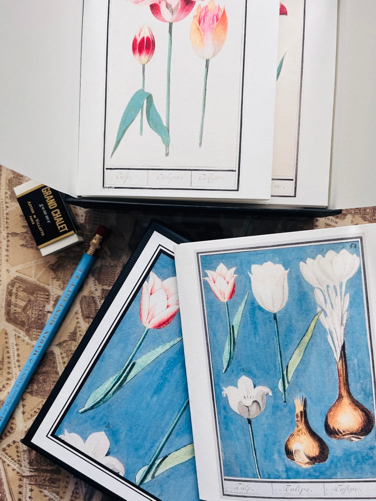 Image of CFT TULIPES