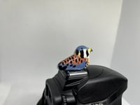 Image 5 of American Kestrel Hotshoe Cover