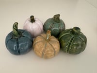 Image 1 of Pwmpenni unigol - single Pumpkins
