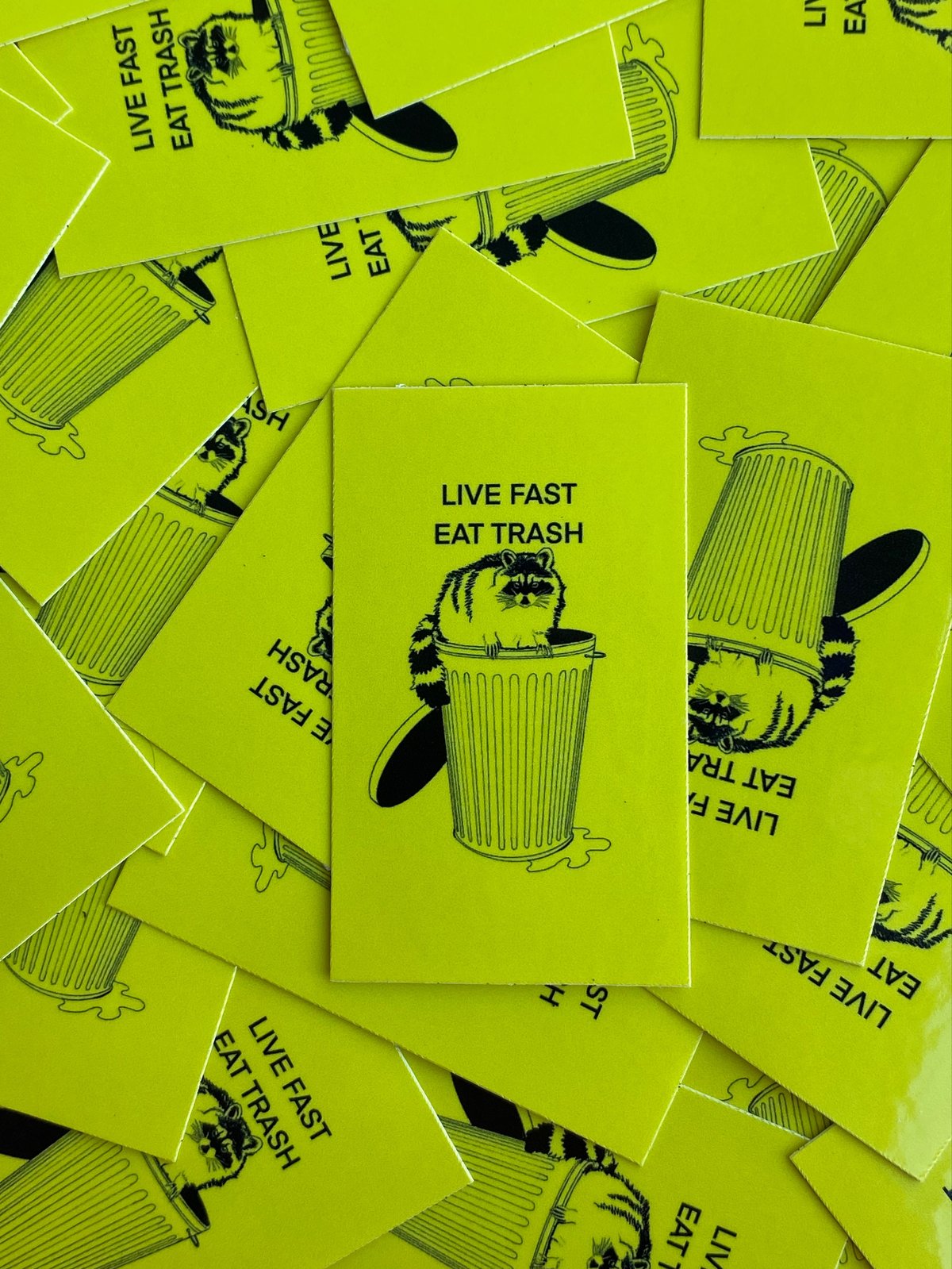 Image of Live Fast Eat Trash Sticker