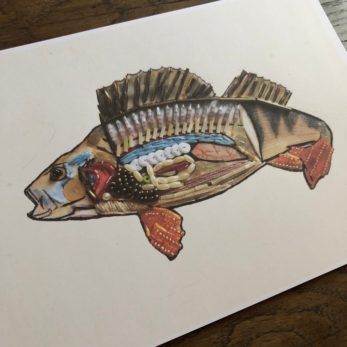 Fish Drawing Original Art Size A4