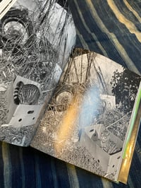 Image 7 of TOKYO WILD CATS, Hana Takeda, 1996.