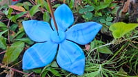 Image of Blue Flower Incense Holder