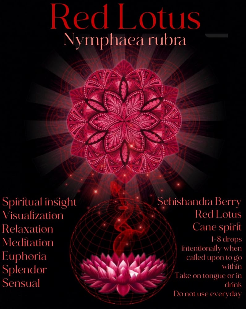 Image of Sacred Red Lotus Nymphaea rubra extract 4ml