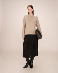 Image 3 of Jersey Salty Arena