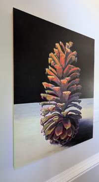 Image 3 of Long Leaf Pine Cone #2