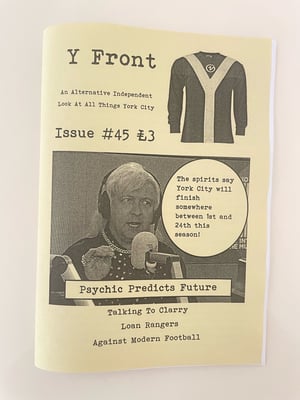 Image of Y Fromt Issue 45