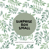 SURPRISE BOX: Small