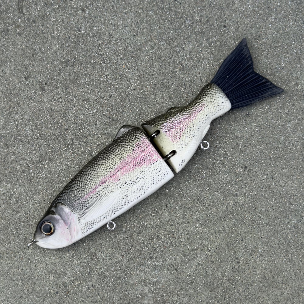 Image of 10 inch (slow sink) trout