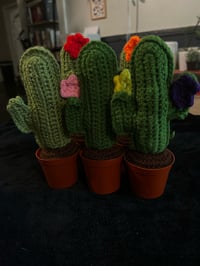 Image 2 of Cactus