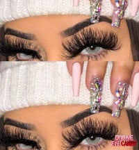 Image 3 of Aloe Vera 