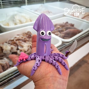 Japanese squid