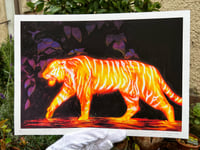 Image 3 of Tiger Tiger Art Print