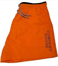 Image 2 of Contrast Swim Shorts