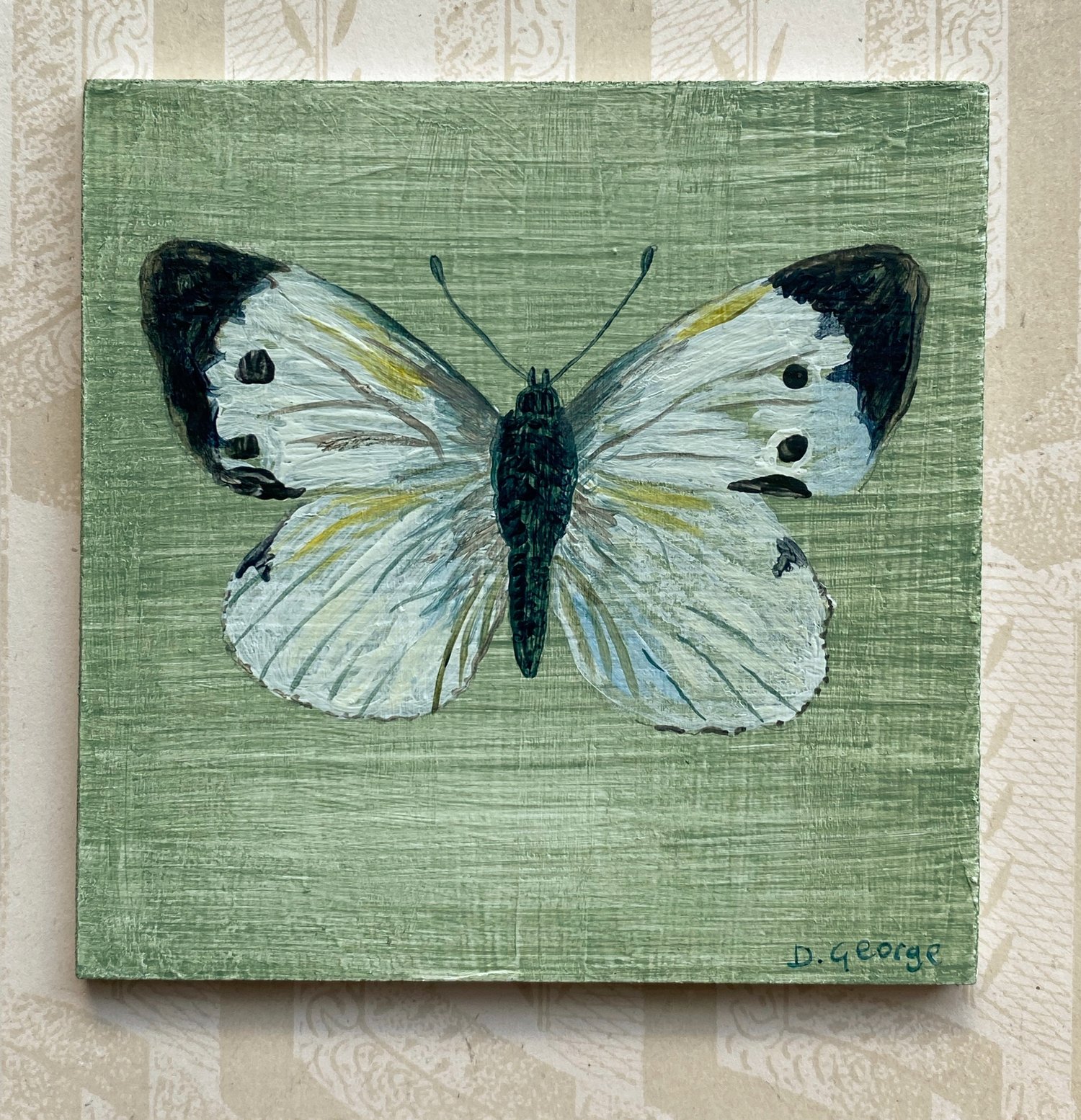 Image of White Butterfly painting 