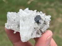 Image 6 of Huebnerite & Fine Quartz Points Specimen #2617