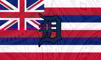 Detroit Tigers Hawaiian Flag