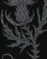 Image 4 of FAREWELL Teddys Tattoo Sweatpant