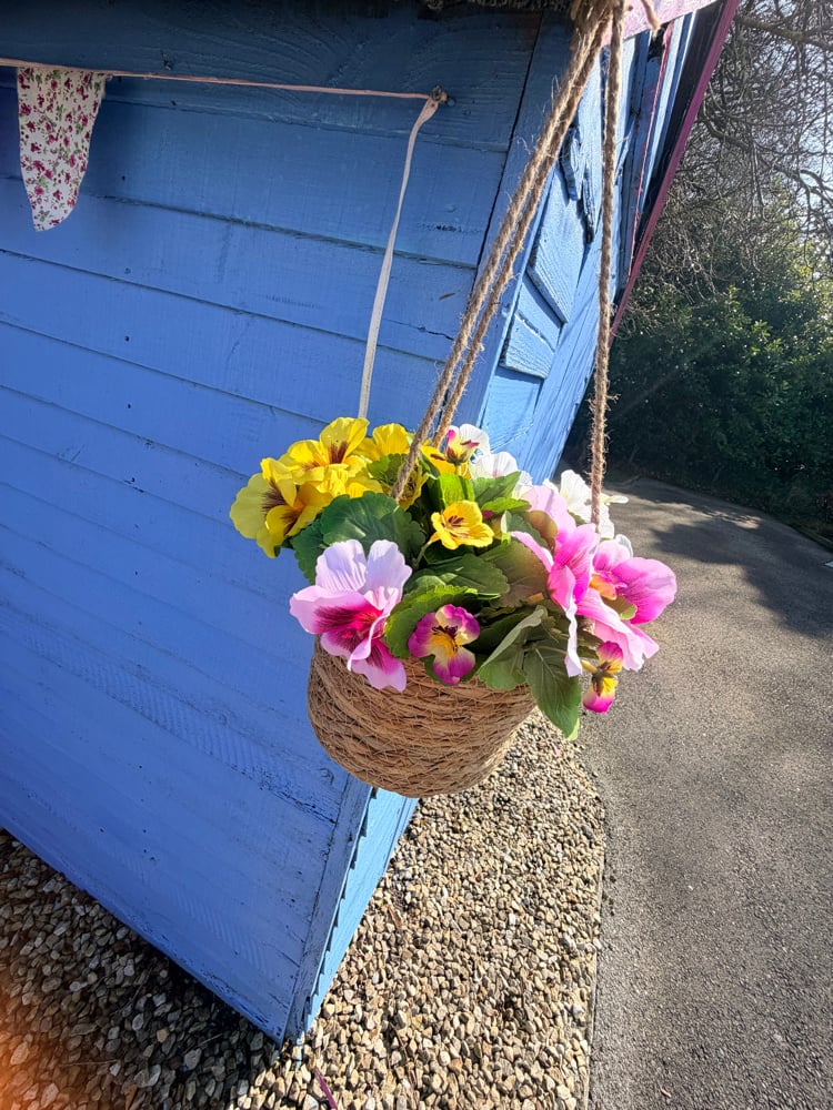 Image of 25cm Hanging Pansy Basket 